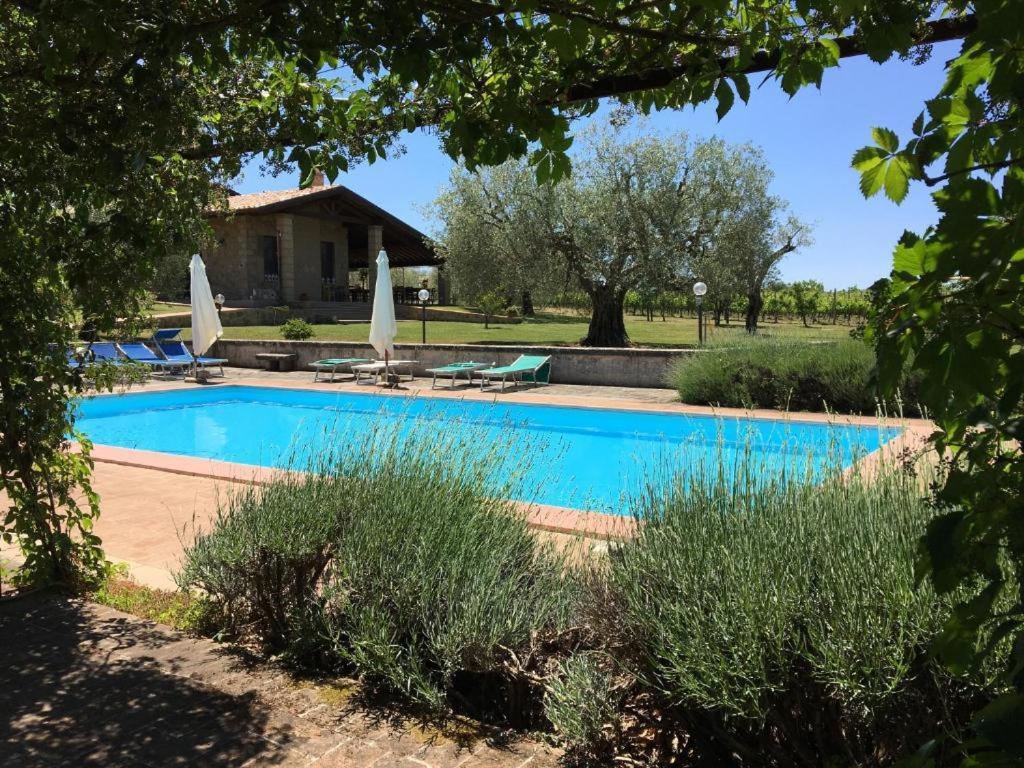 Agriturismo Eco-Bio Villa Vacasio Pitigliano Eksteriør bilde