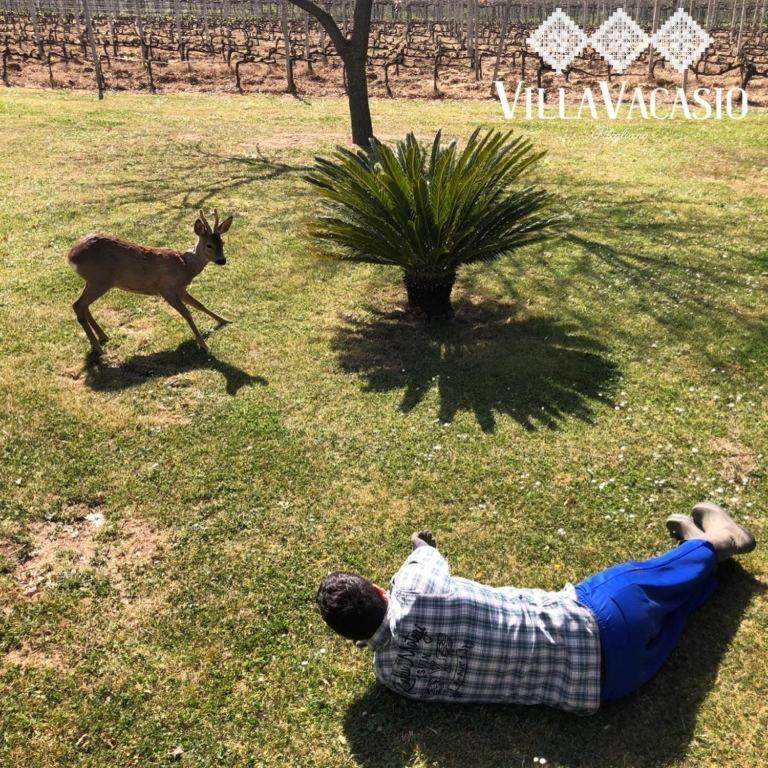 Agriturismo Eco-Bio Villa Vacasio Pitigliano Eksteriør bilde