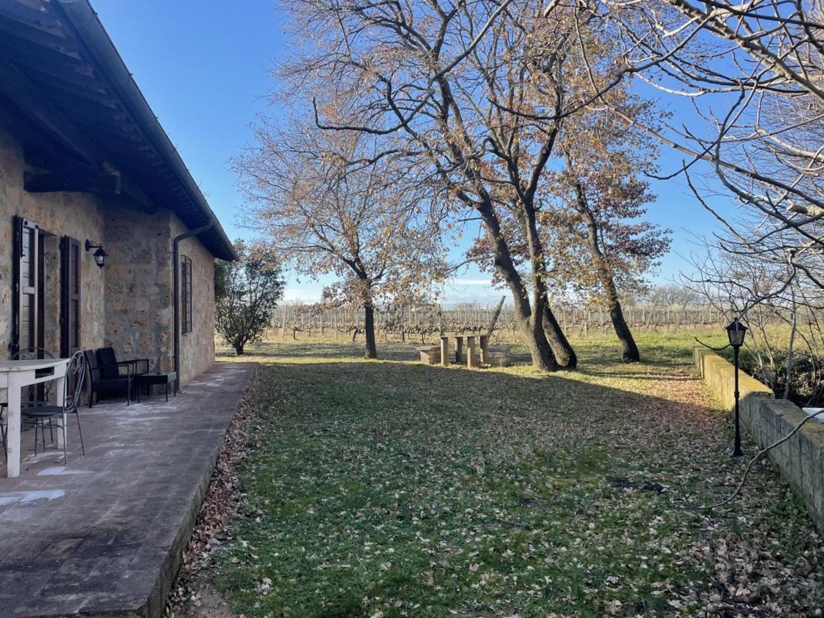 Agriturismo Eco-Bio Villa Vacasio Pitigliano Eksteriør bilde